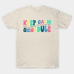 Keep Calm and Pretend It's on the Schedule shirt, Vetmed shirt, Work Life T-Shirt